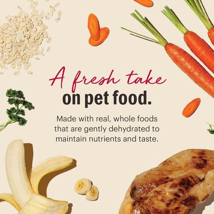 The Honest Kitchen Human Grade Dehydrated Whole Grain Dog Food – Complete Meal o