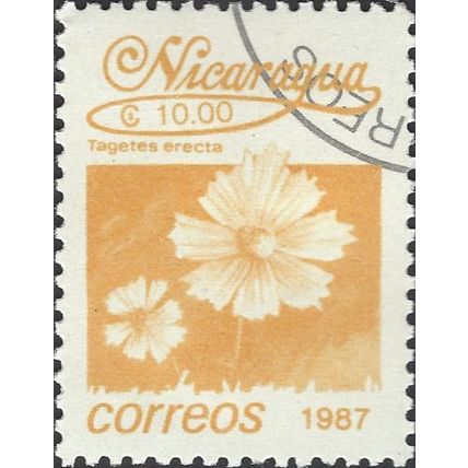 NICARAGUA, FLOWER, Marigold, Tagetes erecta, orange-brown 1987, 10cordoba