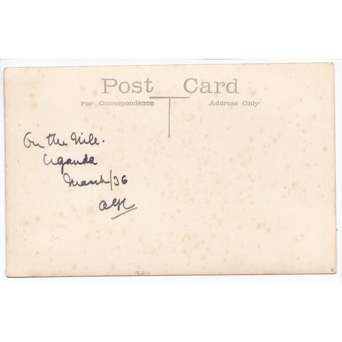 Elephants on the River Nile Postcard