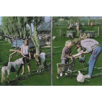 Reedham Norfolk Farm Real Metallic Shine Postcard