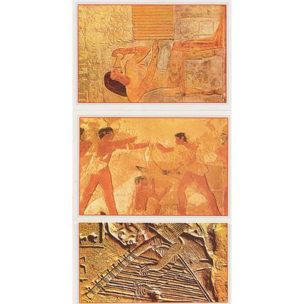 Sakkara The Blind Musician Tomb Of Petah Butcher 3x Postcard s