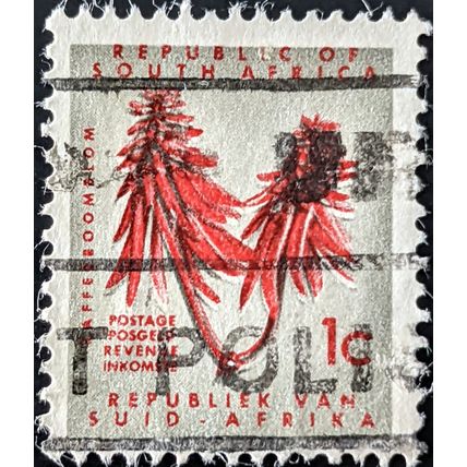 STAMP SOUTH AFRICA SG199 1961 1c Kaferboom Flower Used