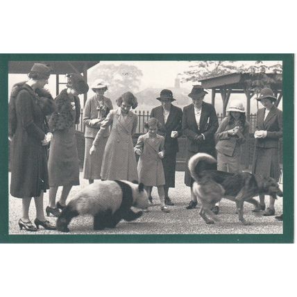 The Nostalgia Postcard 1890s - 1950s - London Zoo, 1939