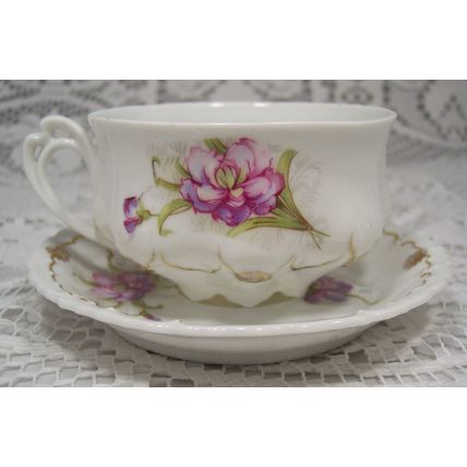 N D & CO Nowotny & Dressle CARLSBAD CHINA AUSTRIA Teacup & Saucer Unique Design