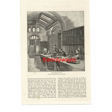 Professor Of Ornithology's Study, South Kensington, Book Illustration, 1887