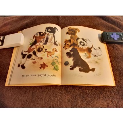 Little Golden Book The Fuzzy Duckling (A) Edition 7.0 FN/VF By Jane Werner 1949