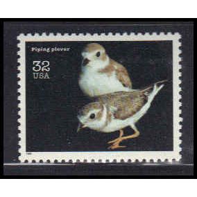 3105n 32c Piping Plover Fine MNH V4494