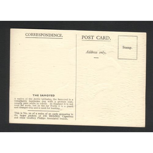 DE RESKE THE SAMOYED CIGARETTE LARGE PACKET DOG POSTCARD UNUSED