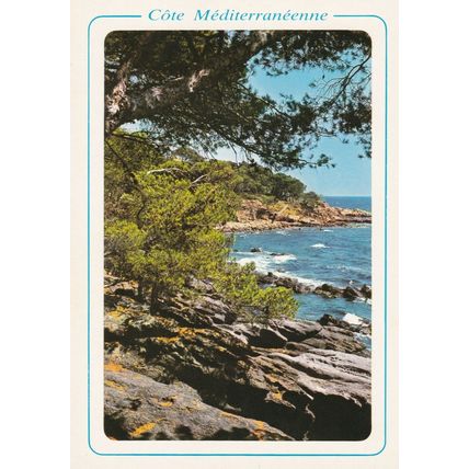 Cote Mediterraneenne Pinewood Calanque France Postcard unused VGC