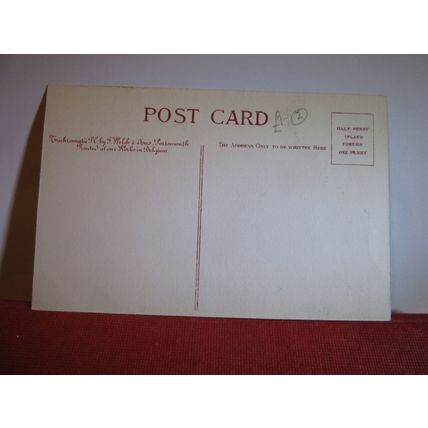 LANGUAGE OF FLOWERS, WHITE ROSE, ROMANCE unused antique postcard by J Welch. #