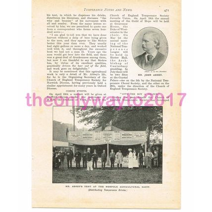 Temperance Drinks at Norfolk Agricultural Show, Book Illustration (Print), c1899