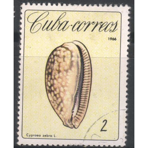 Cuba 1966 - SG1385 - 2c - Measled Cowrie - used