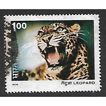 INDIA 1976 INDIAN WILDLIFE 1R LEOPARD SG 827 FINE USED#