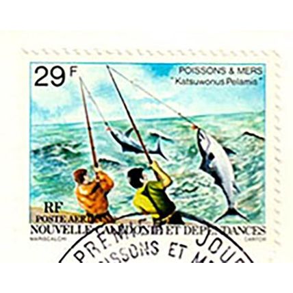 New Caledonia / Noumea 1979 Fishing 29F Stamp on First Day Cover Fish Airmail