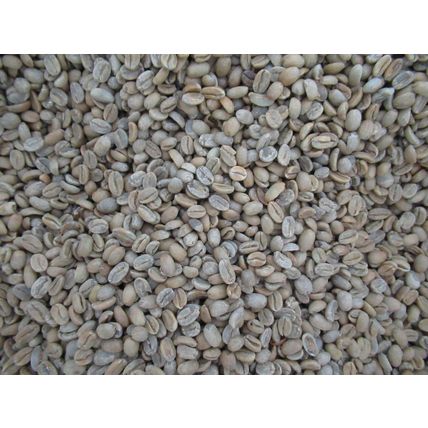 5 LB Green Unroasted Coffee Beans Guatemala GESHA GEISHA Fancy SHB EP MICROLOT
