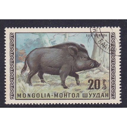 MONGOLIA 1970 WILD ANIMALS 20m WILD BOAR USED SG557