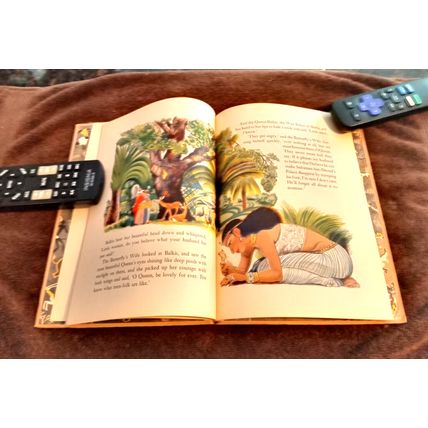 Children's Book Just So Stories Series The Butterfly That Stamped 1947