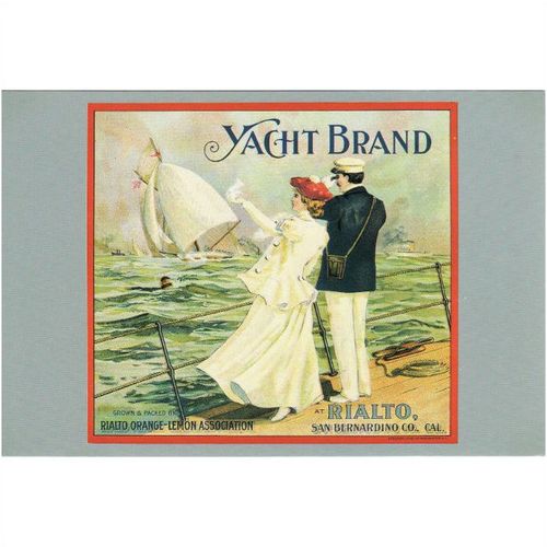 Postcard Marine Art Yacht Brand Citrus Label Rialto Orange Lemon Association USA