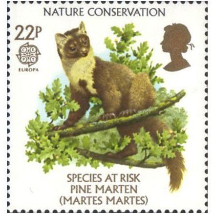 Great Britain 1986 Nature Conservation 22p Pine Marten Unmounted Mint SG 1321