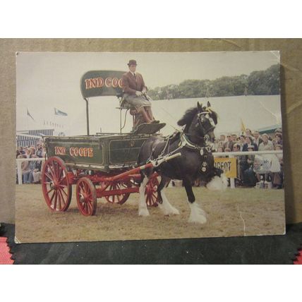 'REGENT' SHIRE HEAVY HORSE, IND COOPE BREWERY unused postcard =