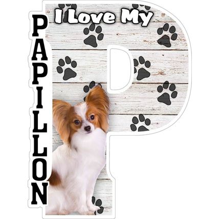 I Love My Papillon Fridge Magnet
