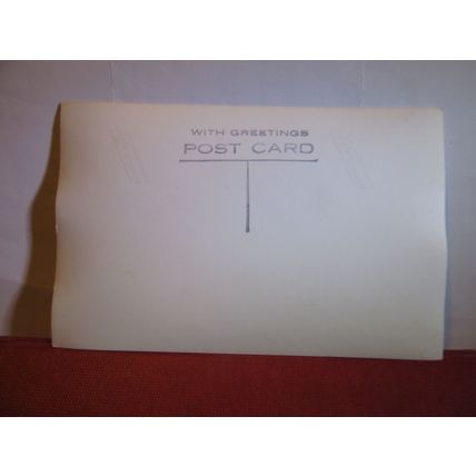 no 30, THE SWANNERY, ABBOTSBURY, DORSET unused postcard RP 1950s #