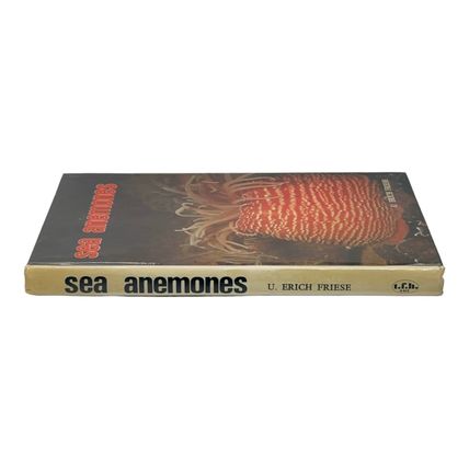 Sea Anemones By U. Erich Friese - Hardcover TFH Publications 1972 Pre-owned