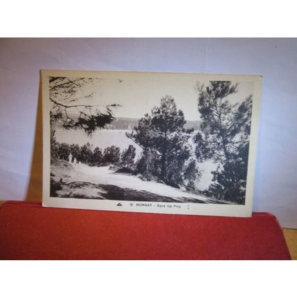 DANS LES PINS, MORGAT, France unused antique postcard =