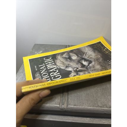 National Geographic Magazine July 1992 Mountain Lions - Vintage Collectable y