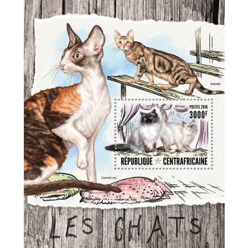 CENTRAL AFRICA 2016 SHEET MNH CATS CHATS KATZEN GATTI GATOS 3A