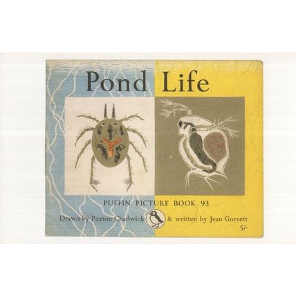Pond Life 1964 Puffin Picture Book Postcard