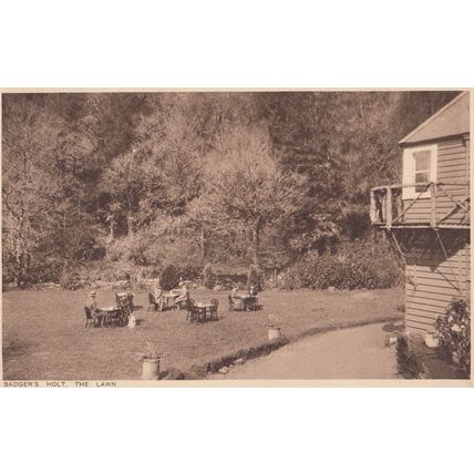 Badgers Holt The Lawn Food Dartmoor 1929 Visitor Postcard