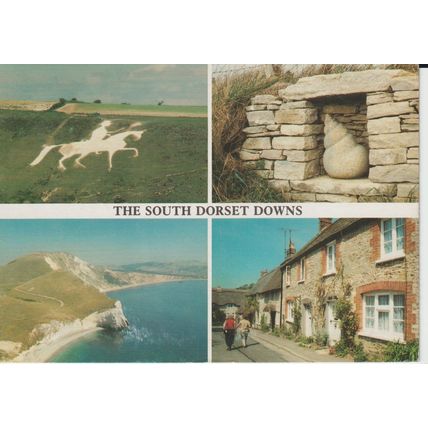 The South Dorset Downs - Delpool # DGG-53