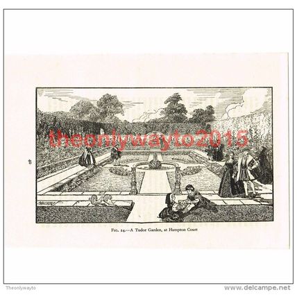 Tudor Garden, Hampton Court, London, Book Illustration (Print), c1950