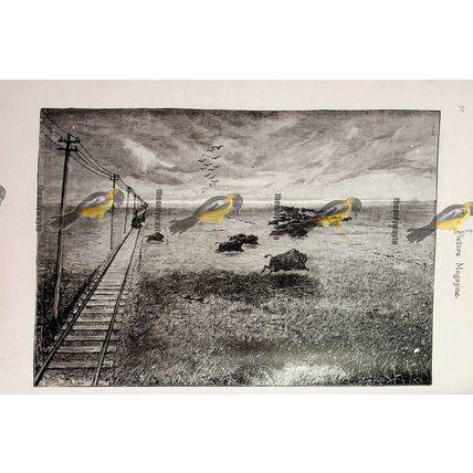 Prairie Railway (With Buffalo), USA, Book Illustration (Print), 1893