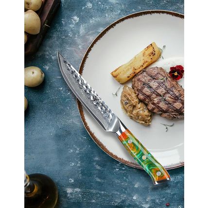 Steak Knives Set of 4, Ultra Sharp Kitchen Steak Knife 5 Inch - Forged Damascus