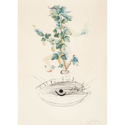 Salvador Dalí (1904-1989). Révérence du groseillier, from Flor Dali Les fruits,