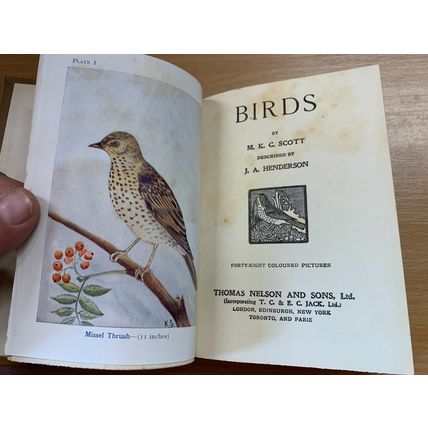 c1940s "BIRDS" M K C SCOTT ILLUSTRATED SMALL HARDBACK BOOK (P3)