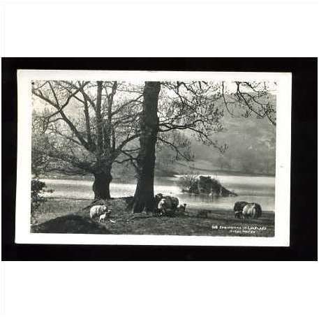 Westmorland RYDAL WATER Postcard by Abraham (610)