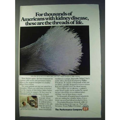 1978 Phillips 66 Oil Ad - Kidney Disease