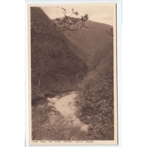 View from the River Rheidol Devil's Bridge Cardiganshire Postcard DBI