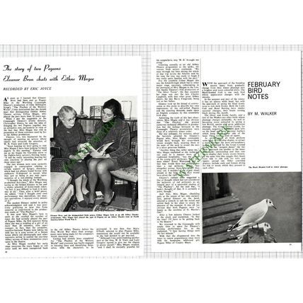9267) Eleanor Bron Eithne Magee Actress Pegeen - 1968 Article