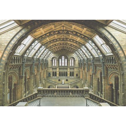 London Natural History Museum Hintze Hall Ceiling Postcard