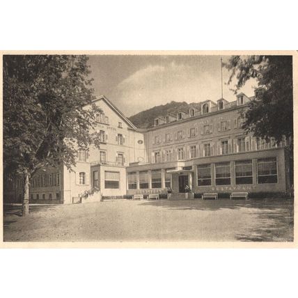 AK Heidelberg Hotel Victoria German Old Postcard