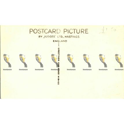 Mermaid Street, Rye, Sussex, 386 Judges Postcard