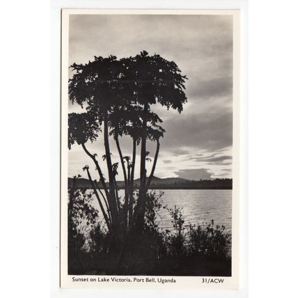 Sunset on Lake Victoria Port Bell Uganda Postcard RP East Africa