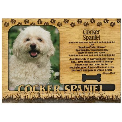Cocker Spaniel Engraved Wood Picture Frame Magnet
