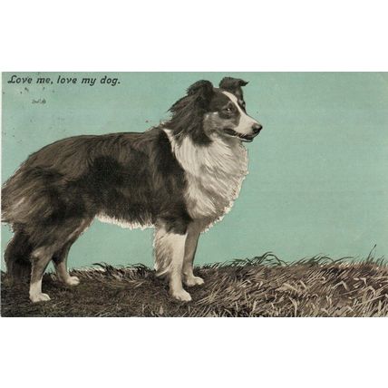 McCAW BELFAST - MARCUS WARD SERIES POSTCARD LOVE ME LOVE MY DOG C1910 - PC356