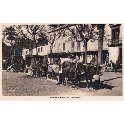 Madeira Funchal Portugal The Cab Rank Real Photo Postcard