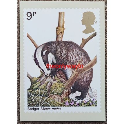 Badger (Meles meles), 9p Post Office Postcard PHQ 25 (e), 1977